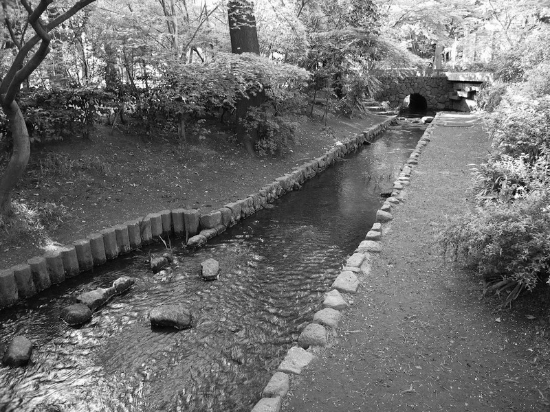 New Educational Voyage