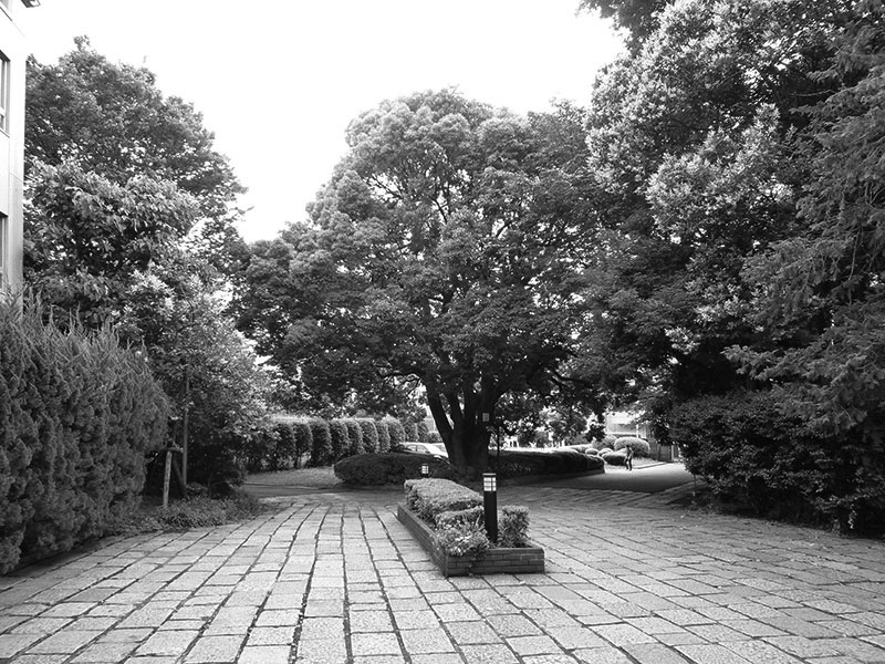 New Educational Voyage