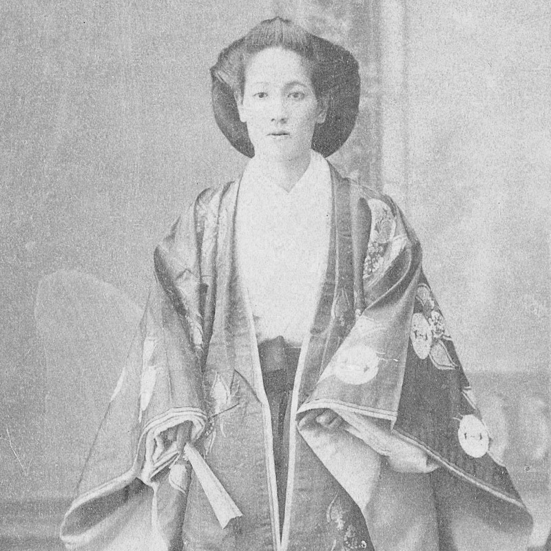 New Educational Voyage