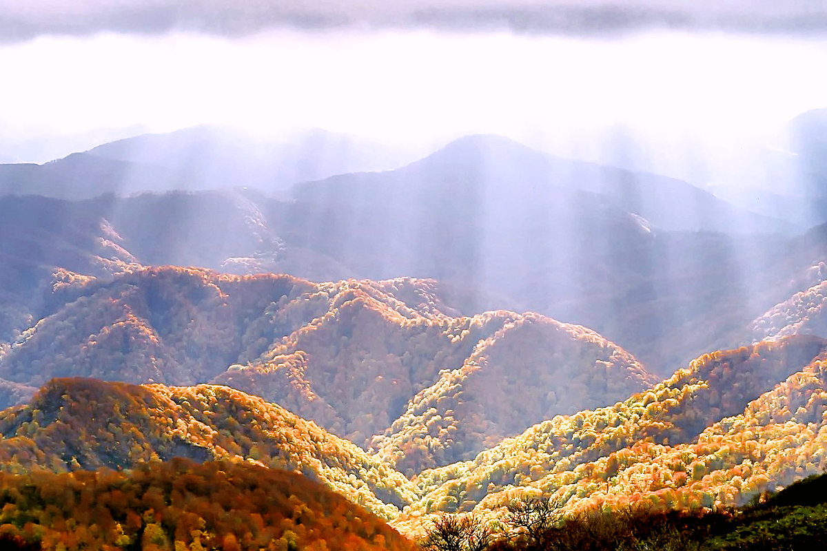 f:id:Yoshitaka77:20211031020342j:plain