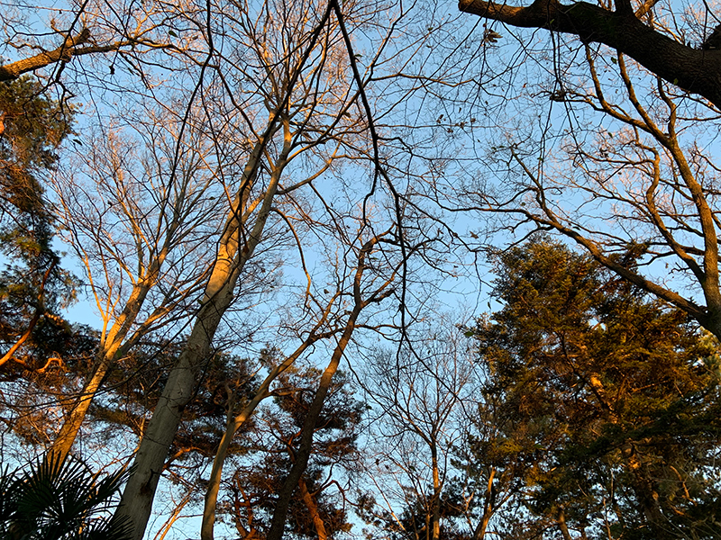 f:id:Yoshitaka77:20211227163159j:plain