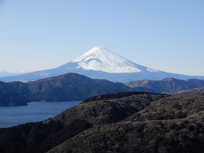 f:id:Yoshitaka77:20220111173529j:plain
