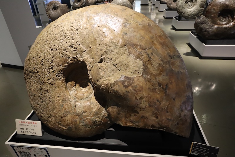 New Educational Voyage