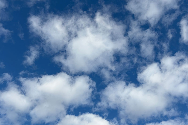 New Educational Voyage