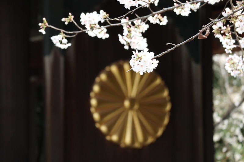 New Educational Voyage