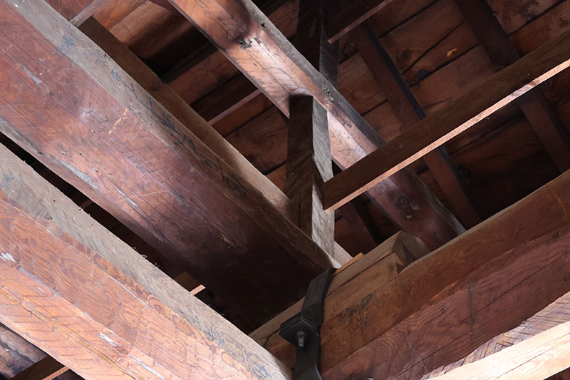 New Educational Voyage