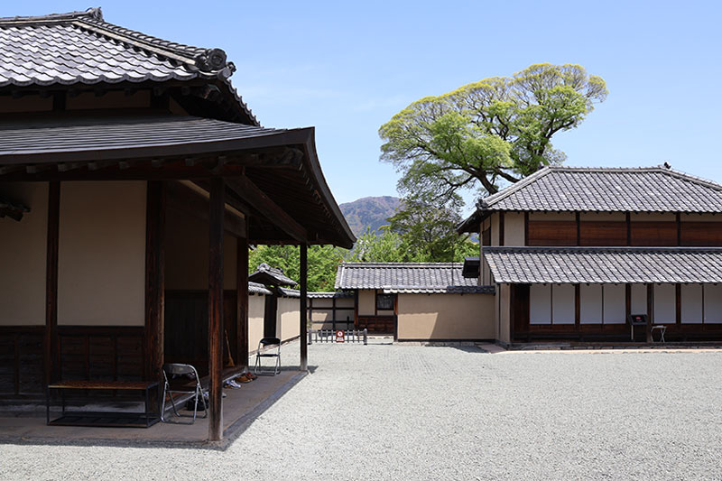 New Educational Voyage