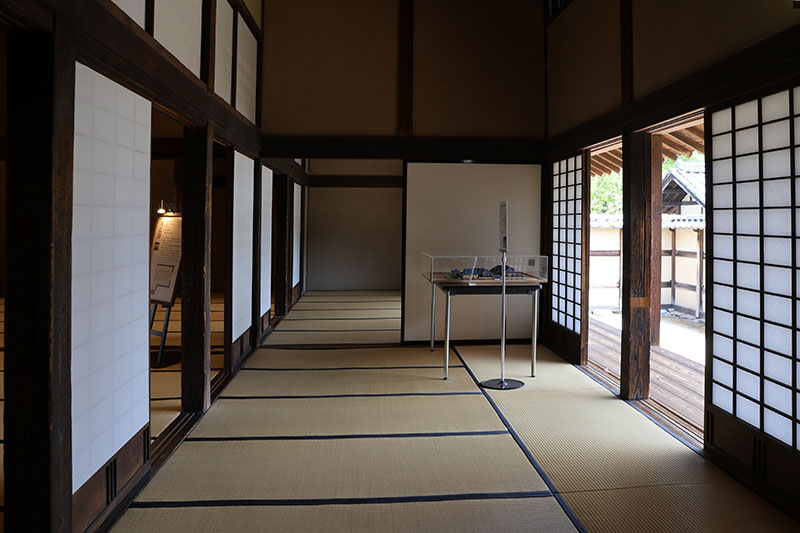 New Educational Voyage