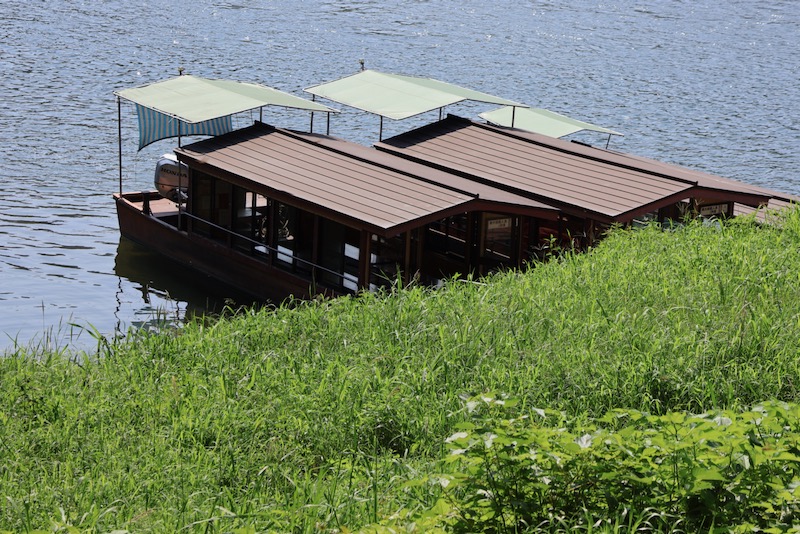 New Educational Voyage