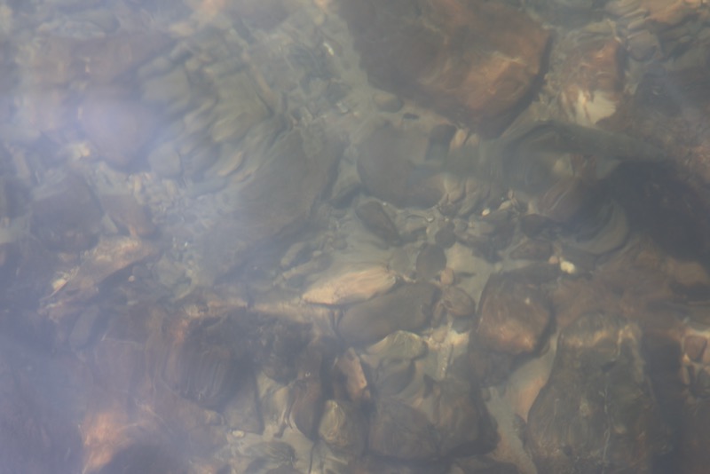 New Educational Voyage