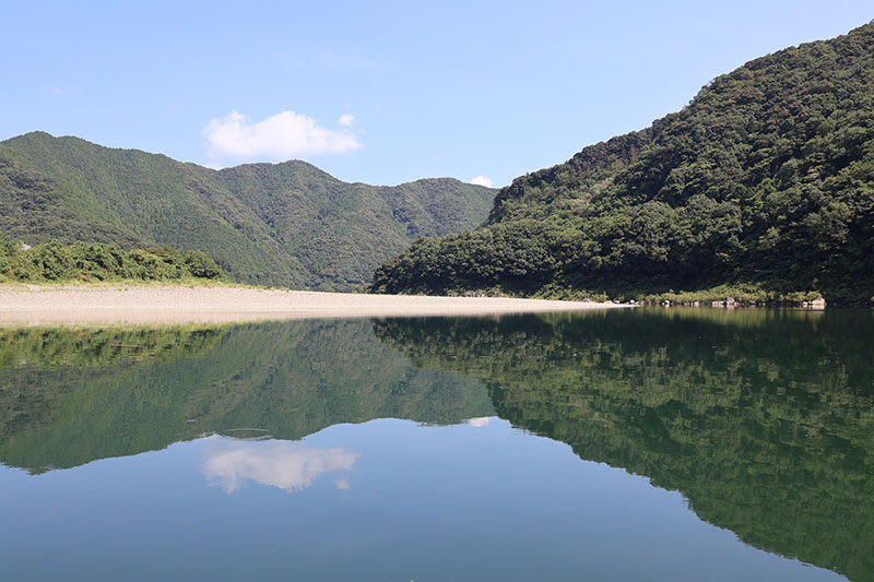 New Educational Voyage