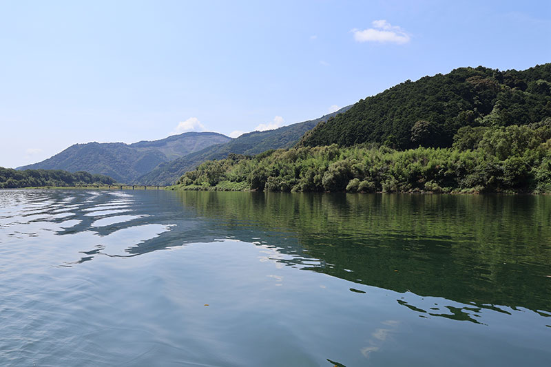 New Educational Voyage