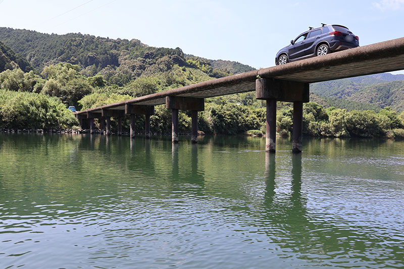 New Educational Voyage