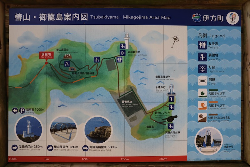 New Educational Voyage