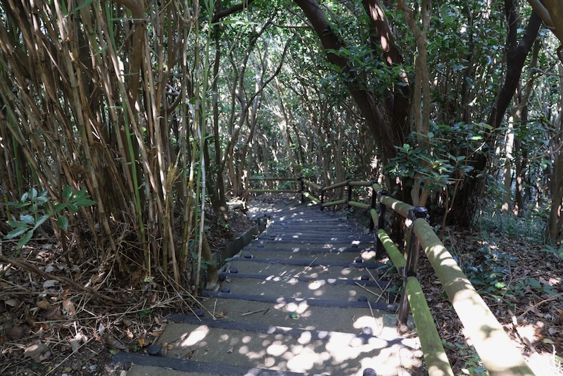 New Educational Voyage