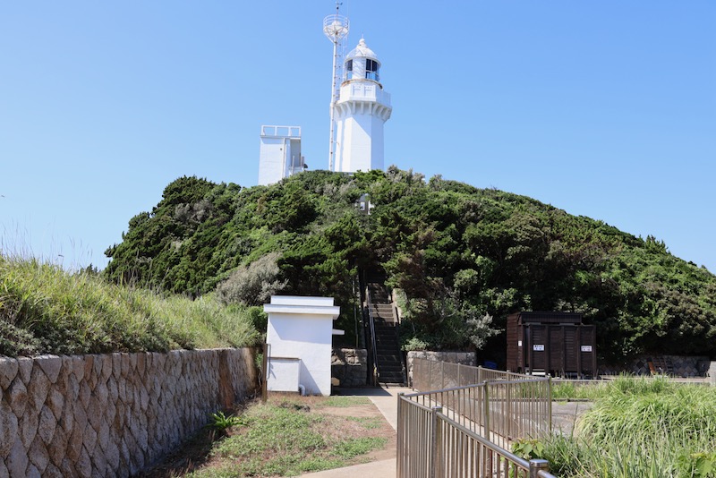 New Educational Voyage