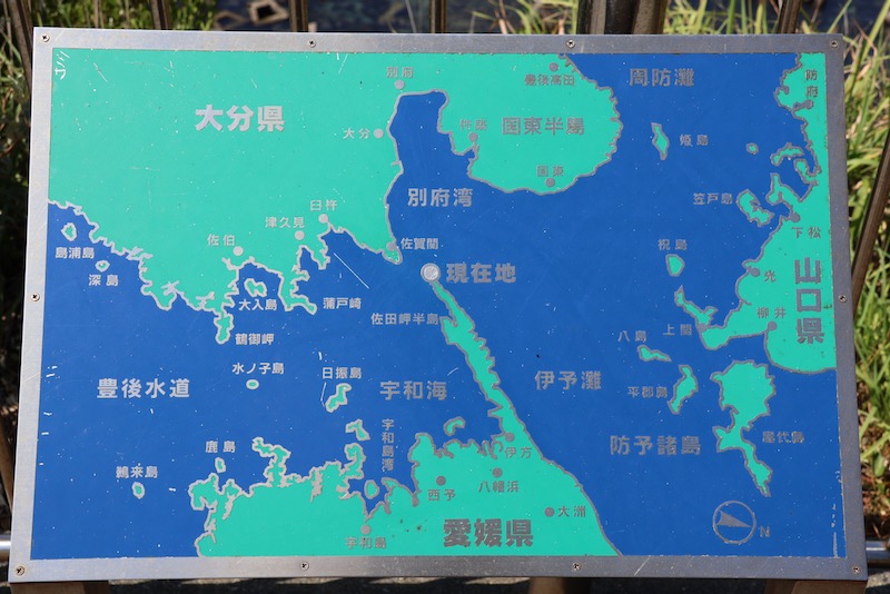 New Educational Voyage