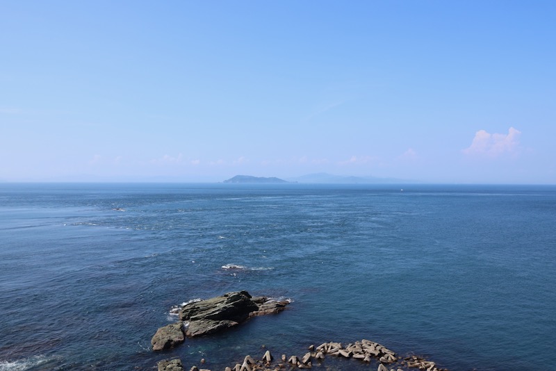 New Educational Voyage