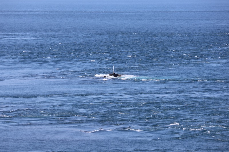 New Educational Voyage