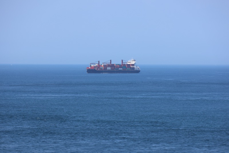 New Educational Voyage