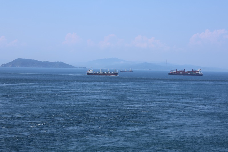 New Educational Voyage