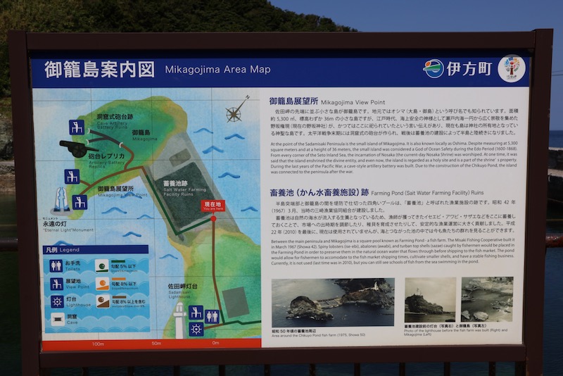 New Educational Voyage