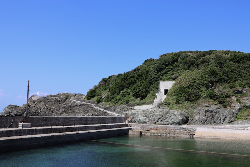 New Educational Voyage