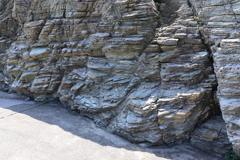 New Educational Voyage