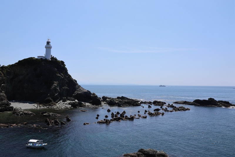 New Educational Voyage