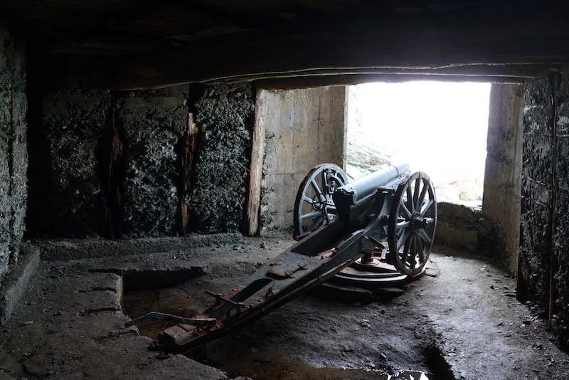 New Educational Voyage