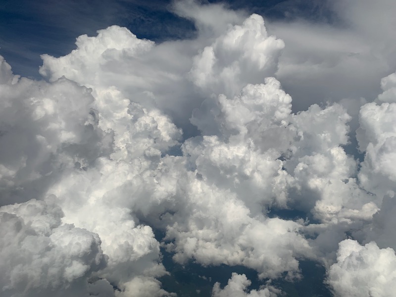 New Educational Voyage