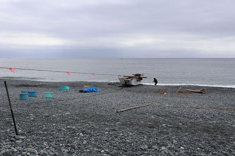 New Educational Voyage