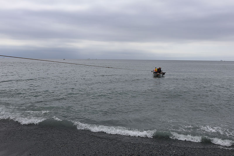 New Educational Voyage