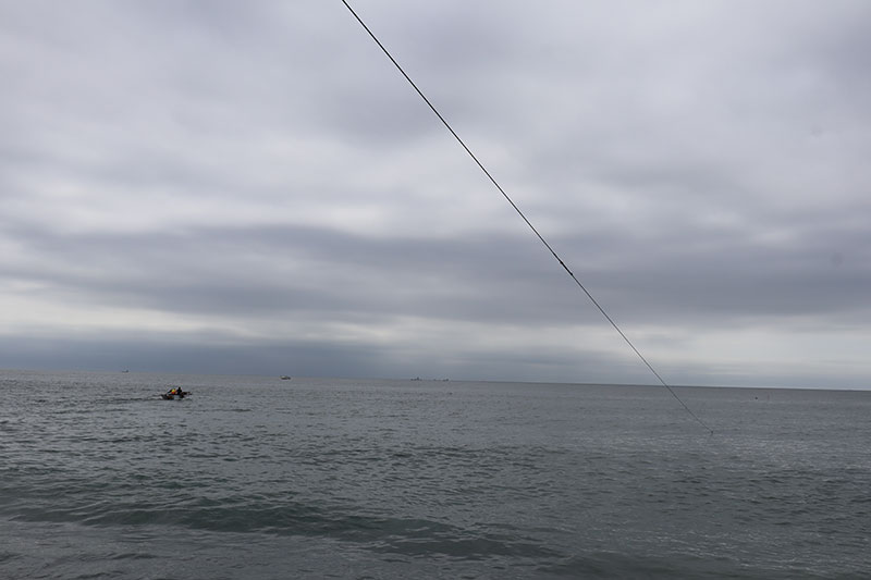 New Educational Voyage