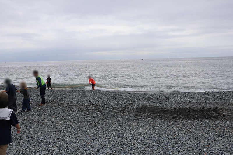 New Educational Voyage