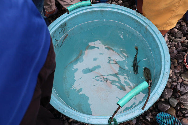 New Educaitonal Voyage