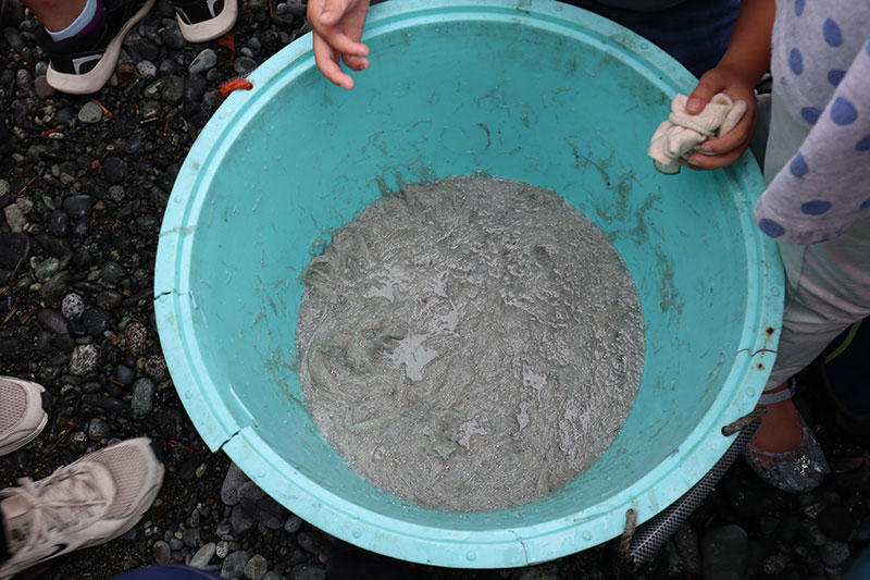 New Educaitonal Voyage