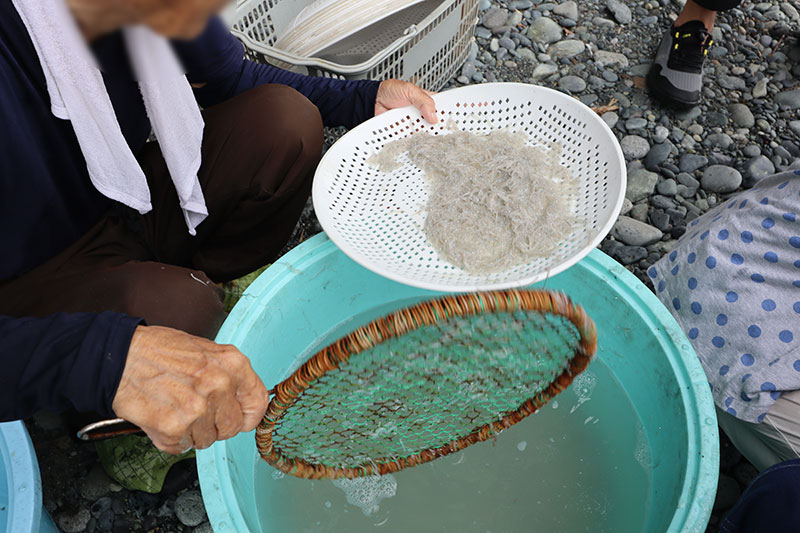 New Educaitonal Voyage