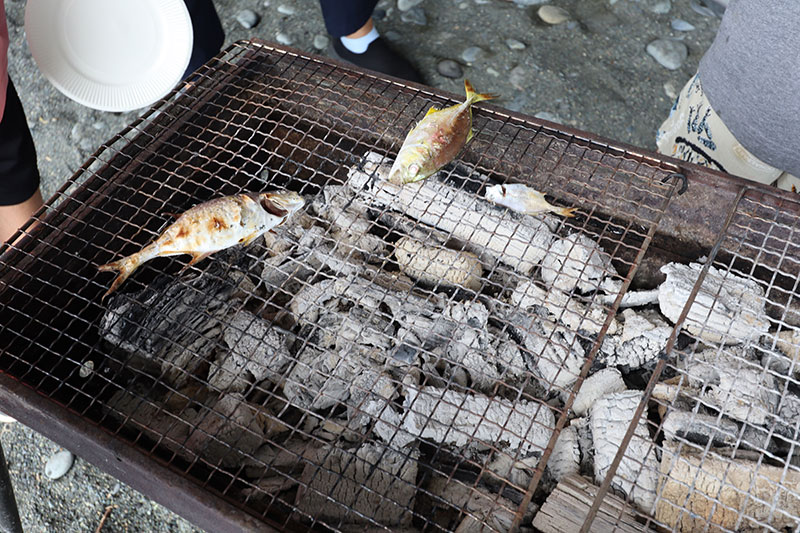 New Educaitonal Voyage