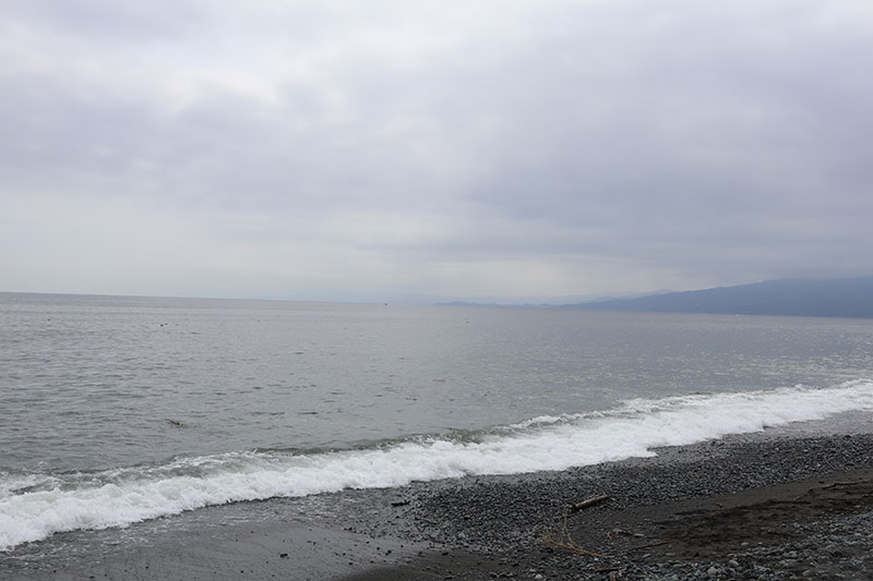 New Educaitonal Voyage