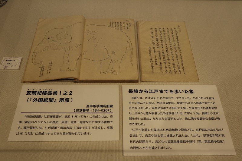 New Educational Voyage