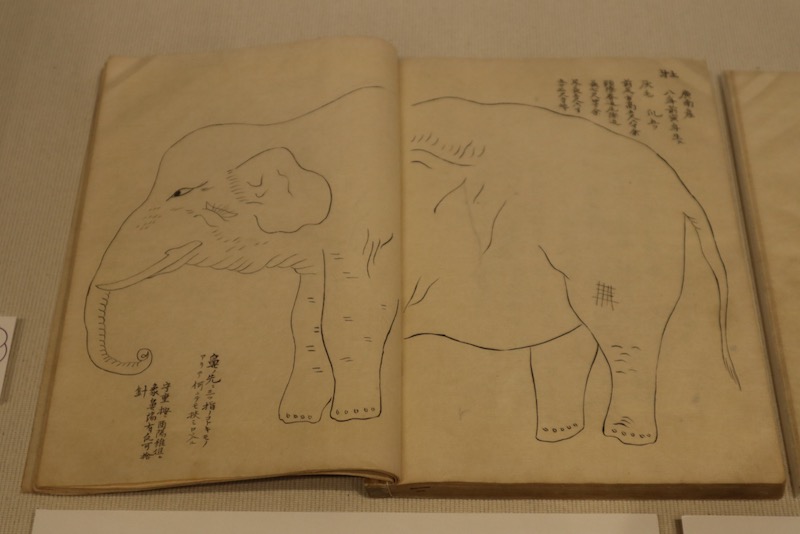 New Educational Voyage