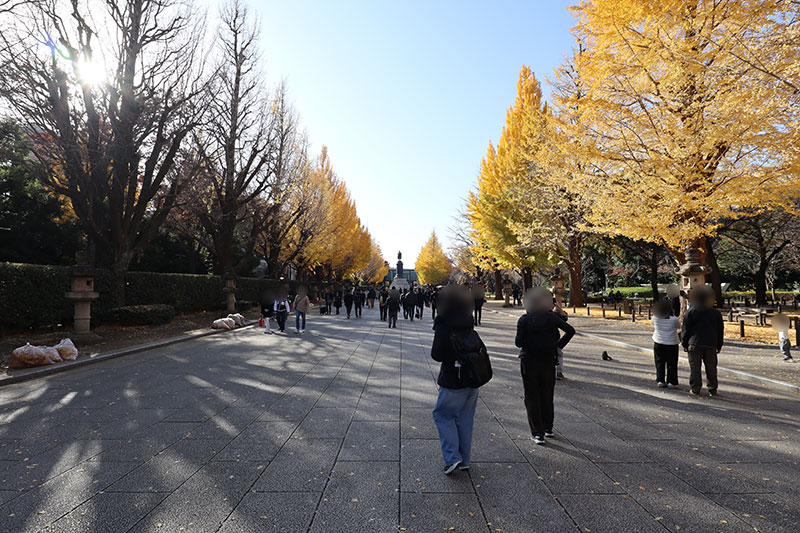 New Educational Voyage