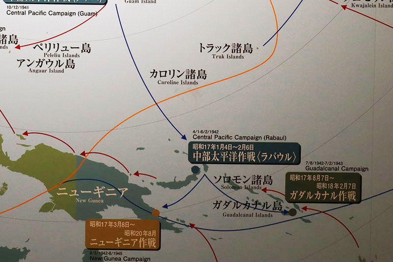 New Educational Voyage