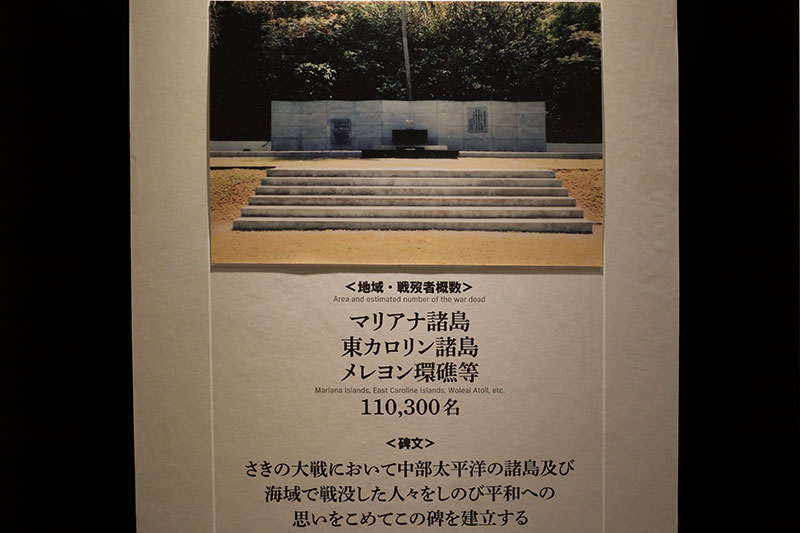 New Educational Voyage