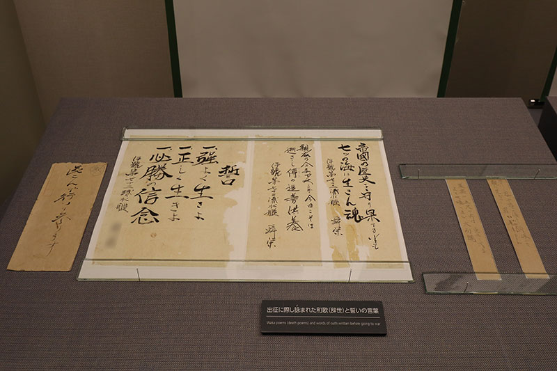 New Educational Voyage