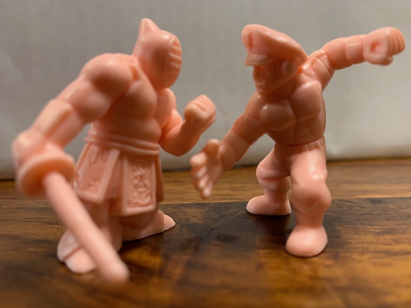 New Educational Voyage