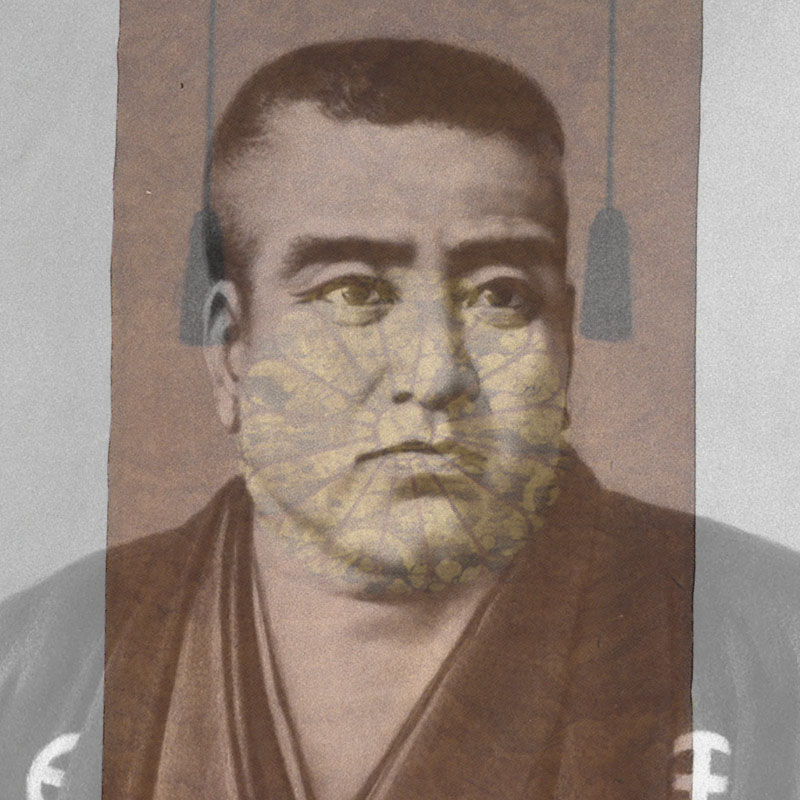 New Educational Voyage