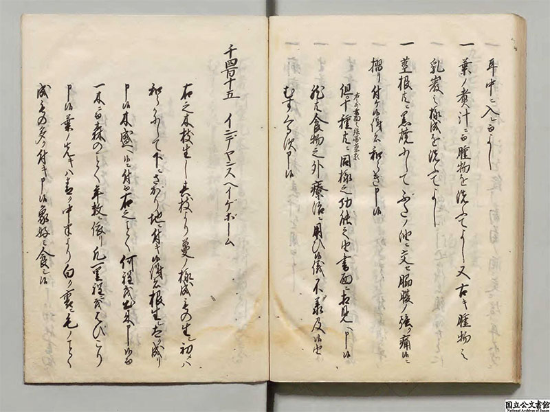 New Educational Voyage