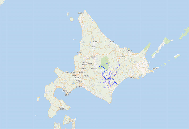 New Educational Voyage